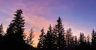 Ravelli Hotel - Ravelli Sporting - Lodges Val di Sole Ravelli Hotel - Ravelli Sporting - Lodges Val di Sole